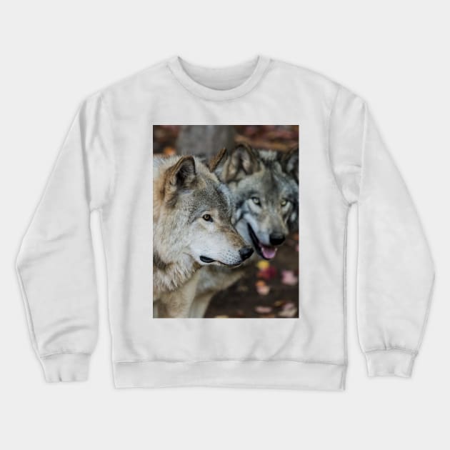 Timber Wolves Crewneck Sweatshirt by jaydee1400